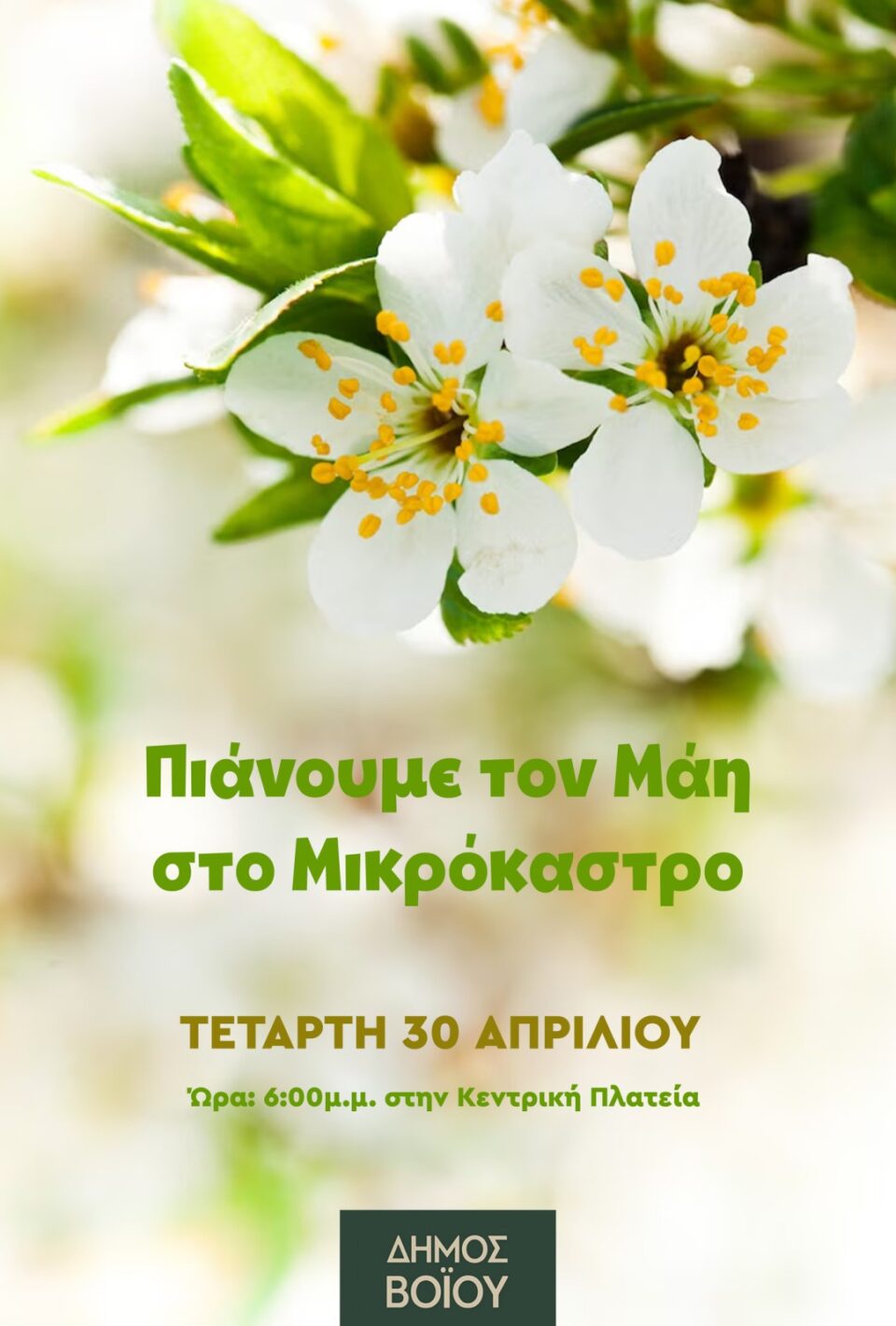 Img d463057e1025f5825a52d8b53de8261c v