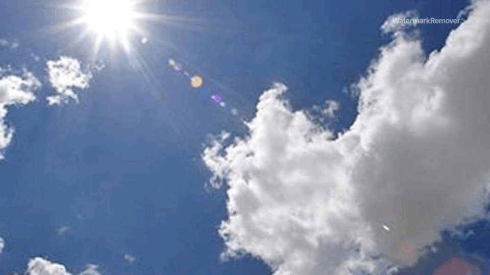D73298c9dc8bea360b48b5be1f75f698 no watermark